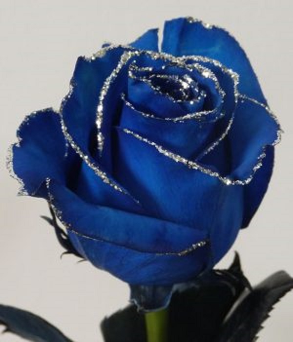 Envio y venta de flores ,rosas, plantas,arreglos florales ,regalos y desayunos a domicilio con delivery gratis en la Ciudad Autonoma de Buenos Aires y con costo de env�o en localidades del Gran Buenos Aires asi como delivery de flores y plantas a trav�s de florerias asociadas en todas las provincias de la Argentina, Buenos Aires, la Pampa, Tucuman, La Rioja, R�o Negro, Entre Rios, Corrientes, Misiones, Neuquen, Chubut, Tierra del Fuego, Santa Cruz, San Luis, Mendoza, Cordoba, Jujuy, Formosa, Santiago del Estero, Salta, Chaco, Catamarca ,San Juan, y ademas realizamos el delivery de flores ,coronas,palmas , plantas y regalos a todas las ciudades de Argentina, Mar del Plata, C�rdoba, Buenos Aires, con cargo en Santa Rosa, La Plata, Bella Vista, Neuquen, Pilar, Paran�, Posadas, Resistencia, Cipolleti y mas de 300 ciudades y localidades en todo el territorio de nuestro pa�s, asi como tambien tenemos la posibilidad de enviar flores a casi todo el mundo en cuestion de horas